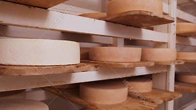 Cheese wheels maturing on shelves - camera slide