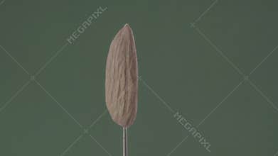 Almond rotating with loop on green screen for chroma key