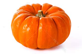 Close up pumpkin