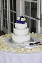 Tree tier Wedding Cake at the beach house 3