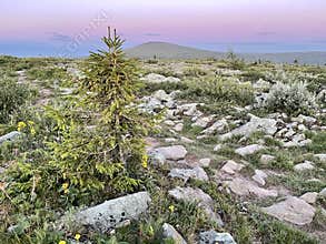 Ural Mountains on the territory of the Pechora-Ilychsky Reserve in the evening. Komi Republic, Russia