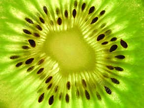 Kiwi Fruit