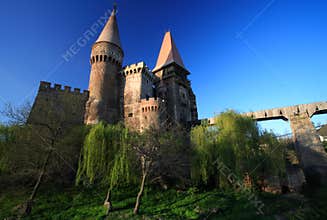 Corvinesti Castle