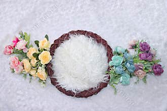 Newborn digital backdrop rainbow flower