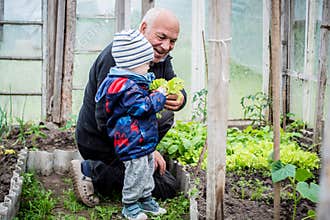 Grandfather showing vegetables to his grandson