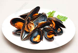 Mussels