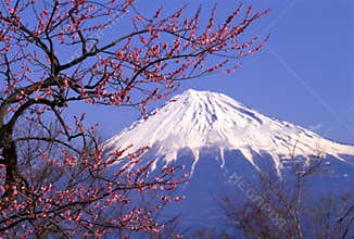 Mount Fuji XXIII