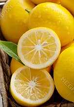 Fresh from Tree, Meyer Lemons in a Basket
