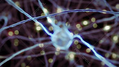 3d animation of the nerve cells with curve axons in the human brain structure