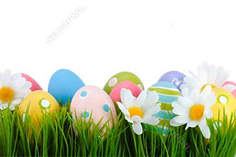 Easter colored eggs on the grass.