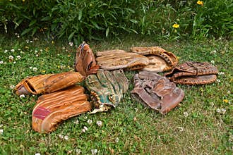 Collection of old baseball gloves