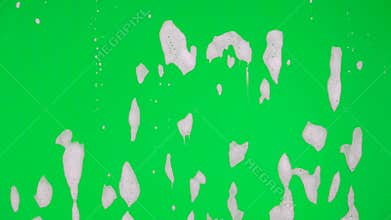 White soap suds flowing down window glass on green screen chroma key background. Cleaning windows with cleaning