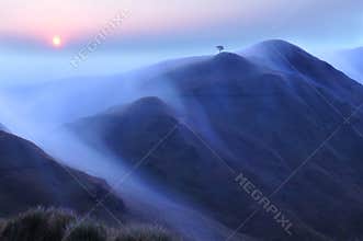 Mountain Range