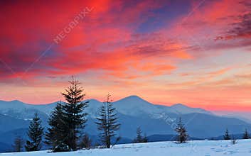 Winter Landscape at Sunset