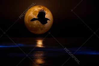Full Supermoon, Black Flying Raven Ocean Waves
