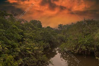 Reflection of a sunset by a lagoon inside the Amazon Rainforest Basin