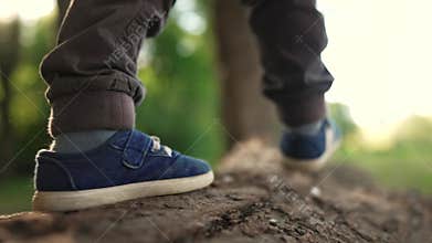 baby boy playing in the forest park. close-up child feet walking on a fallen tree log. happy family kid dream concept. a