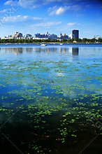 Changchun city