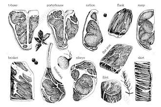 Hand drawn meat elements set. Steak cuts set.