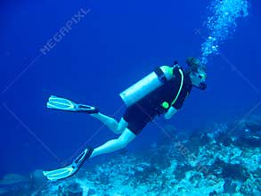 Female Scuba Diver