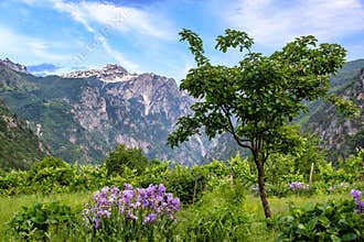Albanian Alps Landscape View