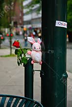 Flower and teddy bear in Oslo after terror