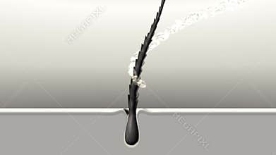 Treatment the damaged hair. Ad for hair care products.