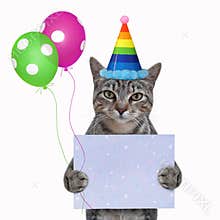Cat gray holds blank holiday poster