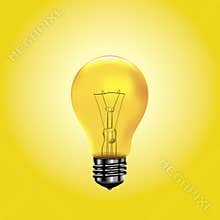 Yellow Light Bulb