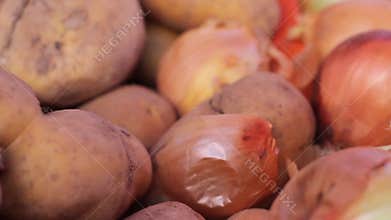 Shopping vegetable in greengrocer
