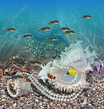 Underwater world