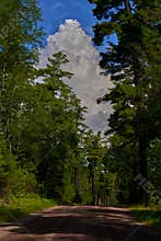 Cumulonimbus cloud, sawbill trail