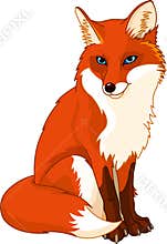 Cute fox