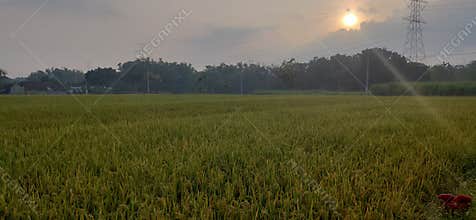 beautifull scenery farm in the warm morning with sunrise