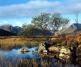 Rannoch Moor (scotland).