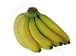 Ripe Bananas 
