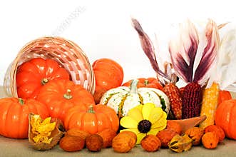 Close up composition of pumpkins, nuts and corns