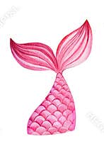 Mermaid tail on an isolated white background. Watercolor drawing