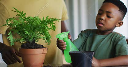 African american boy spraying water on the plant pot at home
