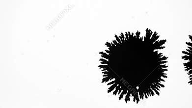 Black ink blot flowing on white background.