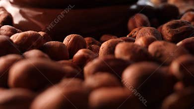 Hazel nuts and melted Chocolate