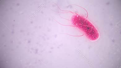 E coli bacteria in motion.