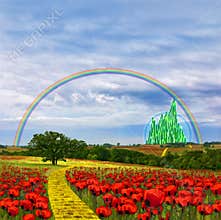 Country Poppy Meadows