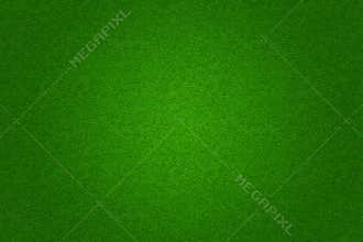 Green grass soccer or golf field background