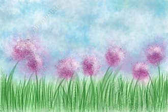 Flower in the meadow illustrations
