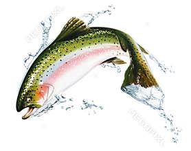 Fish jumping out of the water, with some splashes.