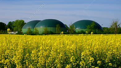 Bio-gas plant and rape field