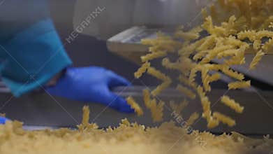 Quality control manager working at the pasta factory checks macaroni quality