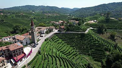 Italian Vineyards in the Summer, in the village of Prosecco, Stunning Aerial View