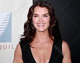 Brooke Shields at the Quill Awards gathering in Manhattan on October 22, 2007